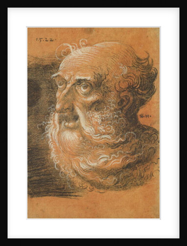 Head Study, 1522 by Wolf Huber