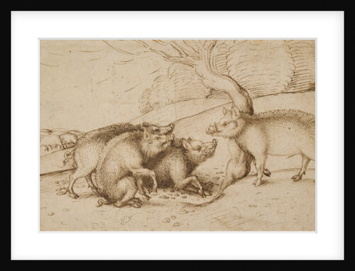 The Boar Family by Martin Schongauer