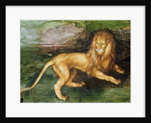 Lion, 1494 by Albrecht Dürer or Duerer