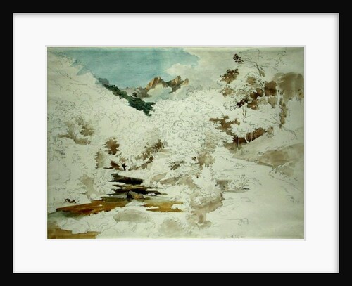 Woodland near Massa by Ernst Fries