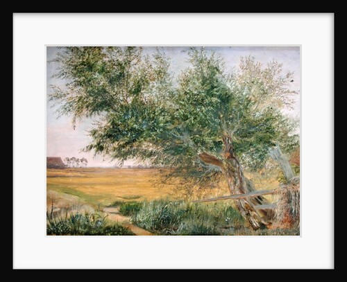 The Old Tree, 1842 by Jacob Gensler