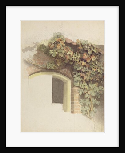 Grapevines on a Brick House, 1832 by Johann Martin Gensler