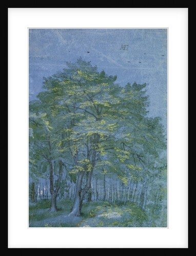 Group of Trees in a Wood, c.1600 by Hendrik Goltzius