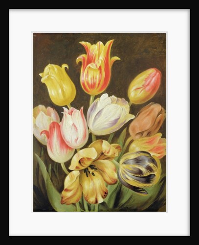 Flower Study by Johann Friedrich August Tischbein