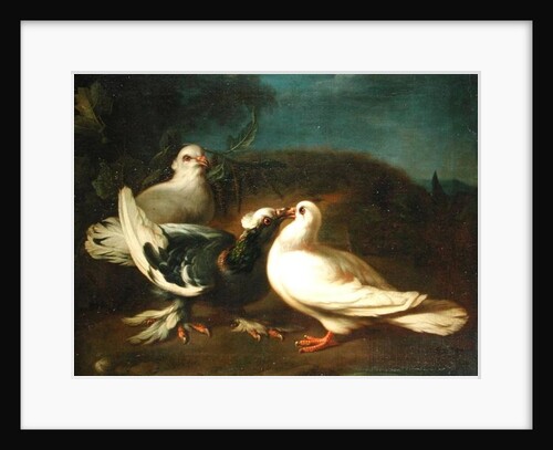 Doves, 1724 by Franz Werner Tamm