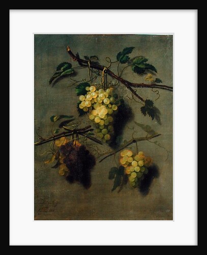 Still Life, 1738 by Dominicus Van der Smissen