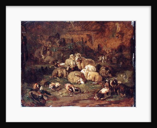 Sheep, Goats and Chickens by Johann Christian Reinhardt
