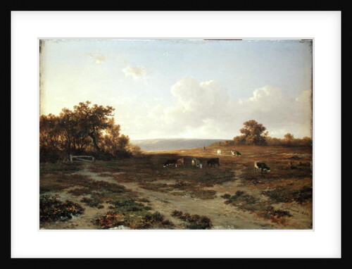 Heath Landscape with Cows, 1852 by Francois Auguste Ortmans