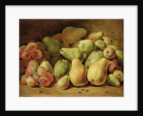 Fruit Still Life by Johann Friedrich August Tischbein