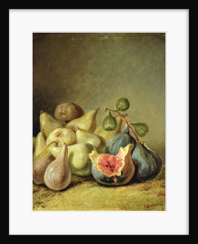 Fruit Still Life by Johann Heinrich Wilhelm Tischbein