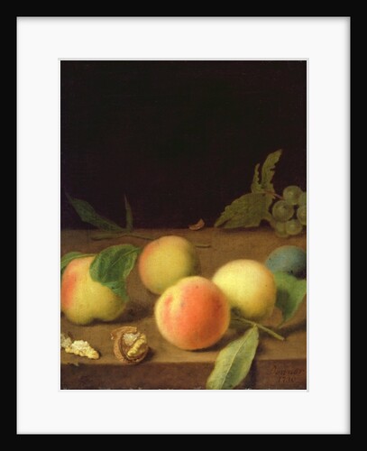 Fruit Still Life, 1730 by Balthasar Denner