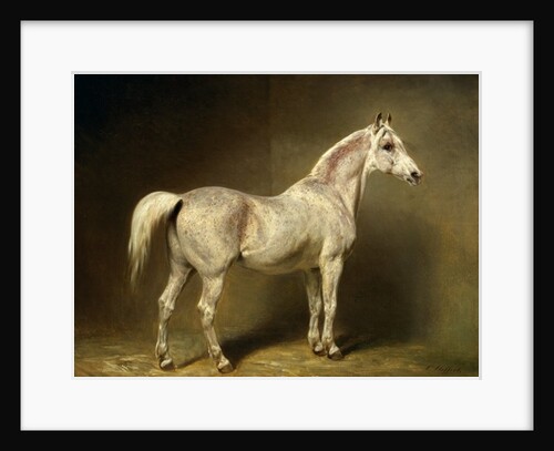 Beatrice, the white arab saddlehorse of Helmuth Graf von Moltke, 1855 by Carl Constantin Steffeck