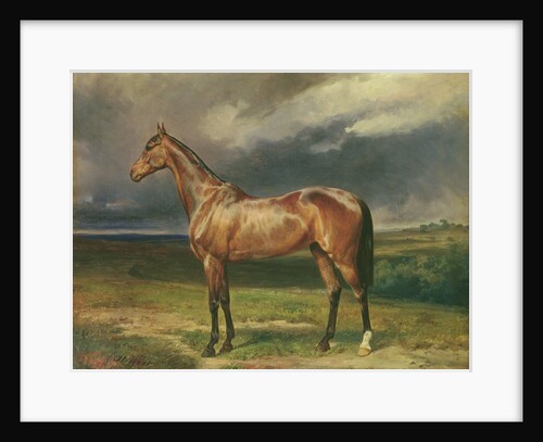 Abdul Medschid the chestnut arab horse, 1855 by Carl Constantin Steffeck