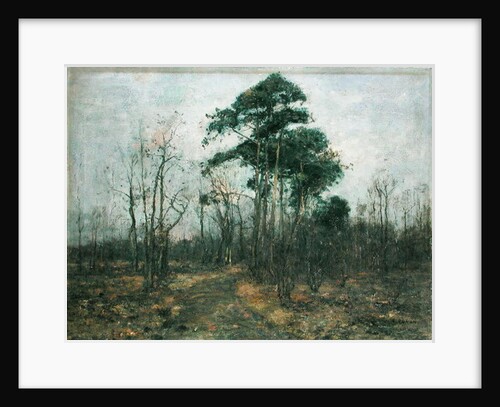 Park Landscape: Forest in Spring by Rudolf Hockner