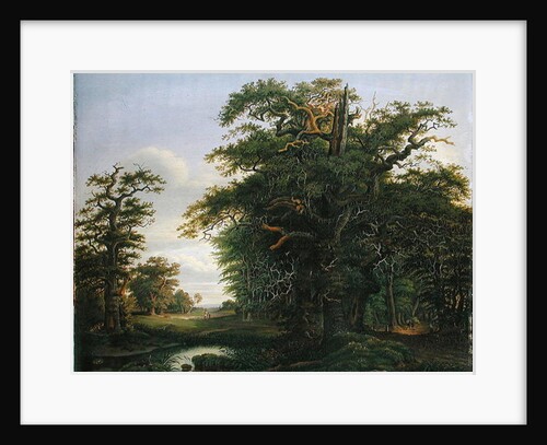 Oak Wood, 1847 by David Christopher Mettlerkamp
