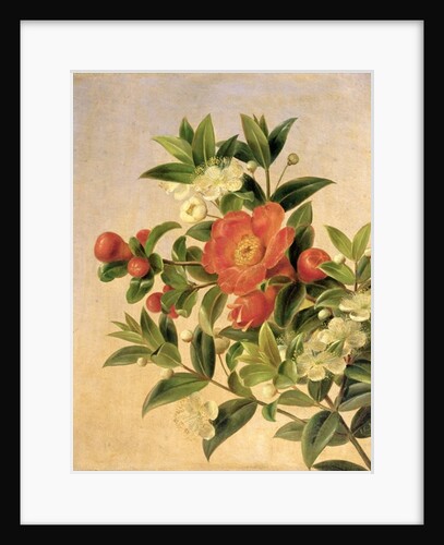 Flowers, 1835 by Johan Laurents Jensen