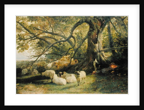 Resting Flock, 1863 by John William Bottomley