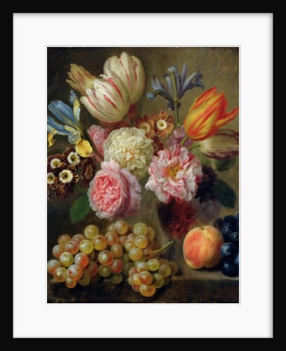 Flower Study by Balthasar Denner