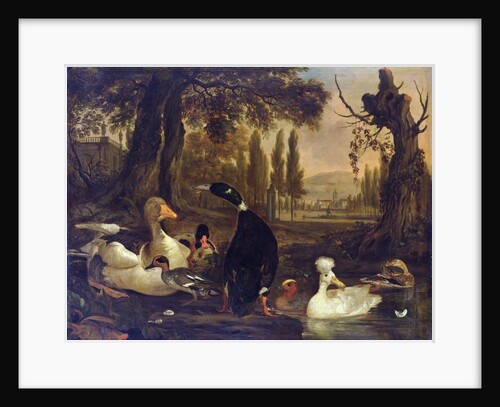 Water Birds by Dirck Wyntrack