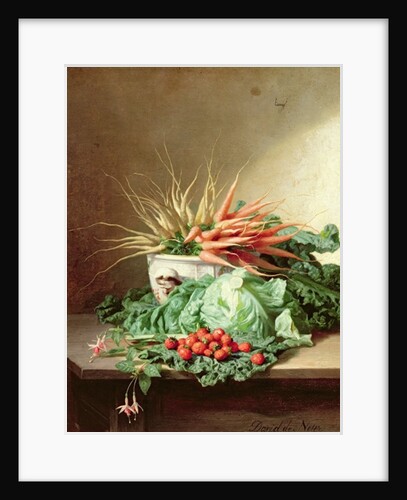 Still Life of Strawberries, Carrots and Cabbage by David Emil Joseph de Noter