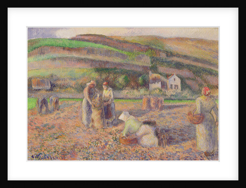 The Potato Harvest, 1886 by Camille Pissarro