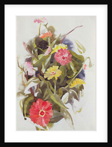 Zinnias, 1920 by Charles Demuth