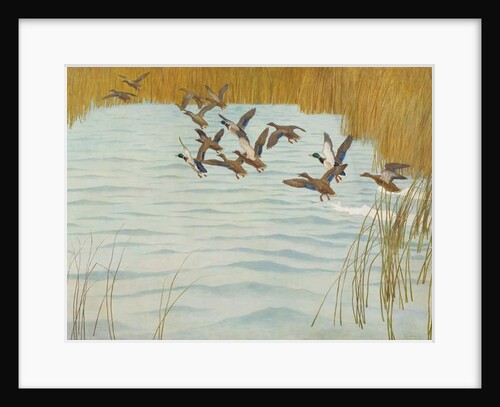 Mallards in Autumn, 1941 by Newell Convers Wyeth