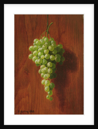 Grapes, 1884 by Andrew John Henry Way