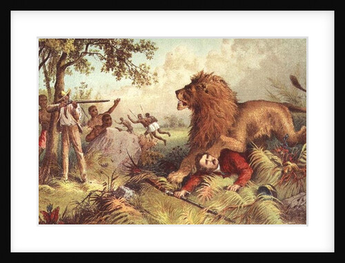 Livingstone attacked by the Lion by Anonymous