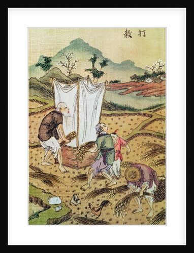 The Story of Rice by School Chinese
