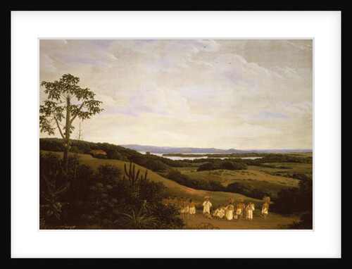 Panoramic View in Brazil with a River in the Distance by Frans Jansz Post