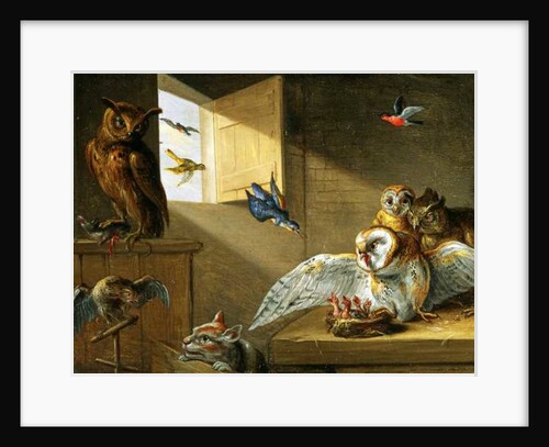 A Family of Owls, other Birds and a Cat by Jan van the Elder Kessel