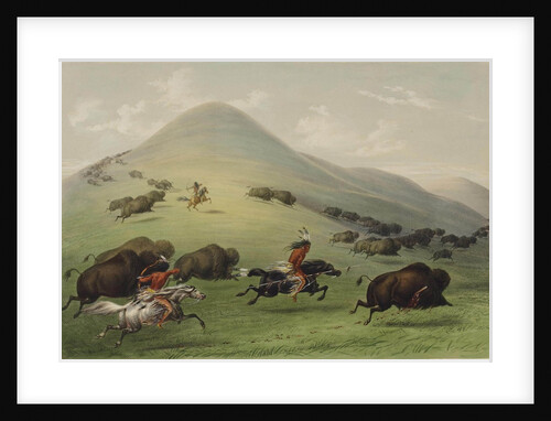 The Buffalo Hunt by George Catlin