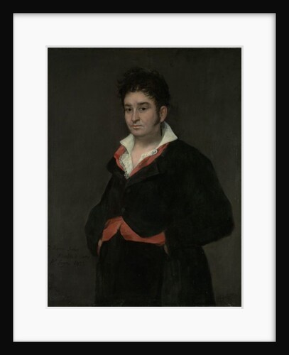 Portrait of Don Ramon Satue, 1823 by Francisco Jose de Goya y Lucientes