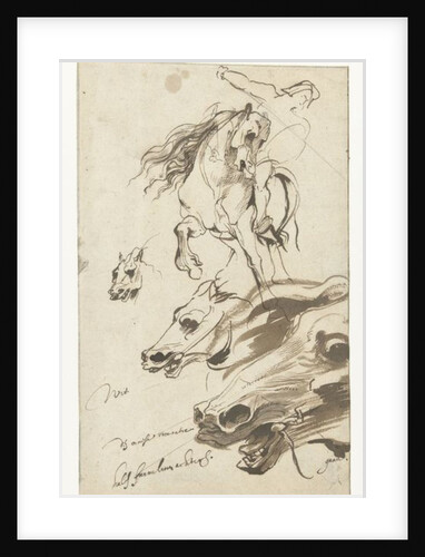 Study of Rider and head of a Horse, 1620-1 by Anthony van Dyck