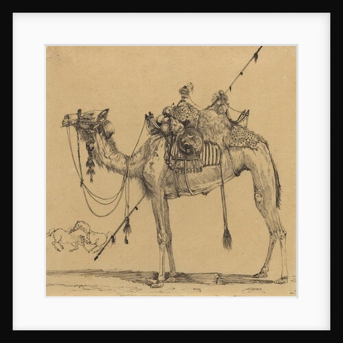 The Camel by Rodolphe Bresdin