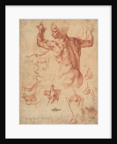 Studies for the Libyan Sibyl, c.1510-11 by Michelangelo Buonarroti