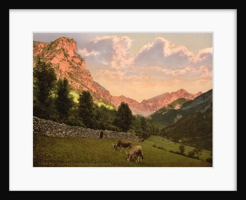 The suburbs, Eaux Bonnes, Pyrenees, France, c.1890-c.1900 by Anonymous