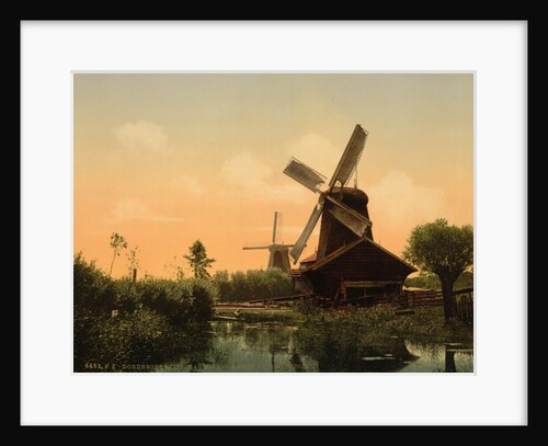Windmills on the Noordendijk, Dordrecht, Holland, c.1890-1900 by Anonymous
