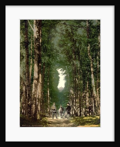 Hohesonne and view of the Wartburg, Wartburg, Thuringia, German, c.1890-c.1900 by Anonymous