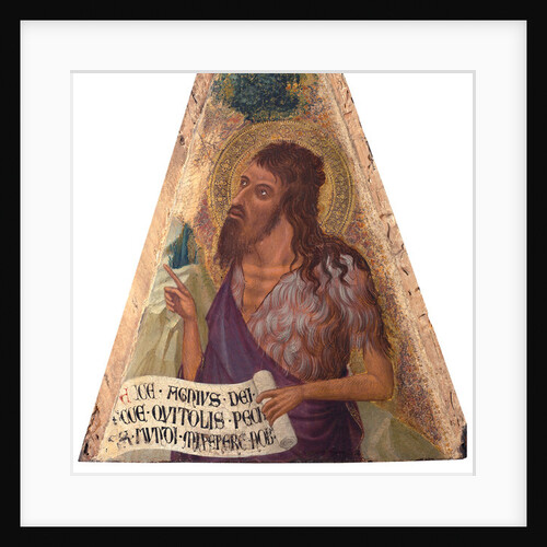 St. John the Baptist, 1337-42 by Ambrogio Lorenzetti