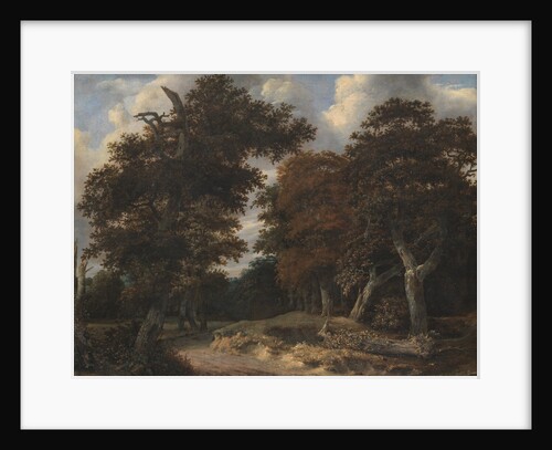 Road through an Oak Forest, 1646-47 by Jacob Isaaksz. or Isaacksz. van Ruisdael