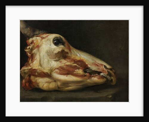 Skinned Head of a Young Bull, c.1690 by Felice Boselli