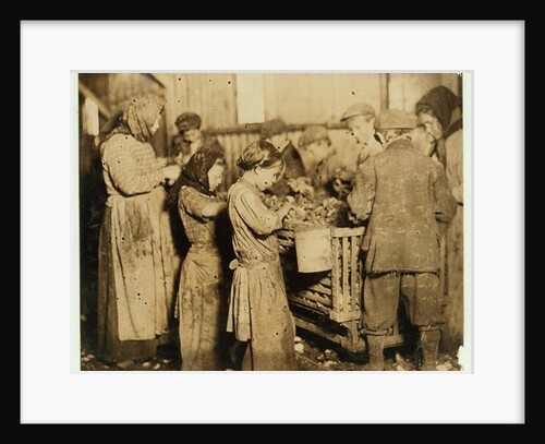 Shuckers aged about 10 opening oysters in the Varn & Platt Canning Company, Younges Island, South Carolina, 1913 by Lewis Wickes Hine