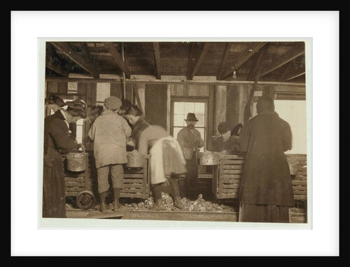 10 year old Mike Murphy, 7 year old Annie Healy and 10 year old Ross Healy in the shucking shed at Alabama Canning Co, Bayou La Batre, Alabama, 1911 by Lewis Wickes Hine