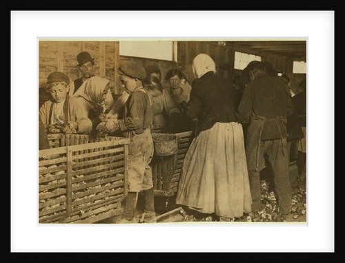 Johnnie, oyster shucker aged 9 watched by boss of the shucking shed at Dunbar, Louisiana, 1911 by Lewis Wickes Hine