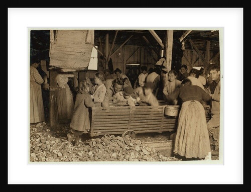 Bill May, aged 5 who makes 15 cents a day, in the shucking shed at Barataria Canning Company, Biloxi, Mississippi, 1911 by Lewis Wickes Hine