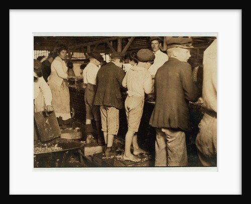 Shrimp pickers, including 8 year old Max, at Dunbar, Lopez, Dukate Co, Biloxi, Mississippi, 1911 by Lewis Wickes Hine