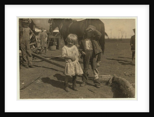 Cotton picker aged 4 who picks 15 pounds a day regularly and 7 year old who picks 50 by Lewis Wickes Hine