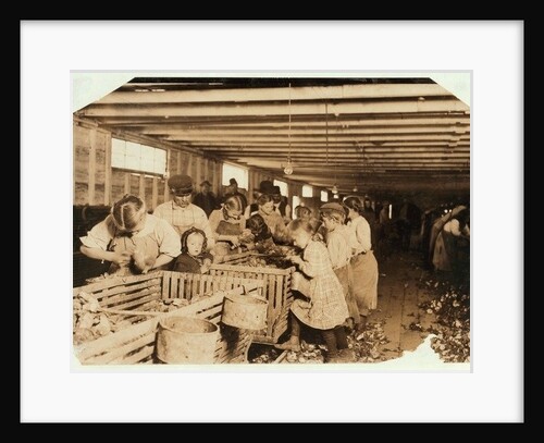 Rosy aged 8 works a 14 hour day as an oyster shucker at Dunbar Cannery, Louisiana, 1911 by Lewis Wickes Hine